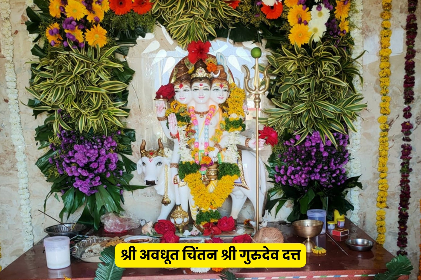 Arihant Hospital and Panchakarma Centre, Savatanagar, Shevgaon Road